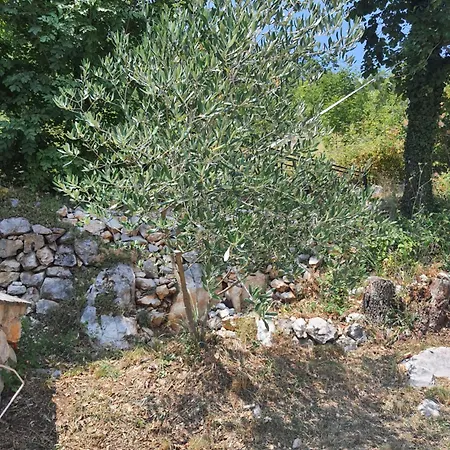 Vakantiehuis Holiday House Morski Pogled *